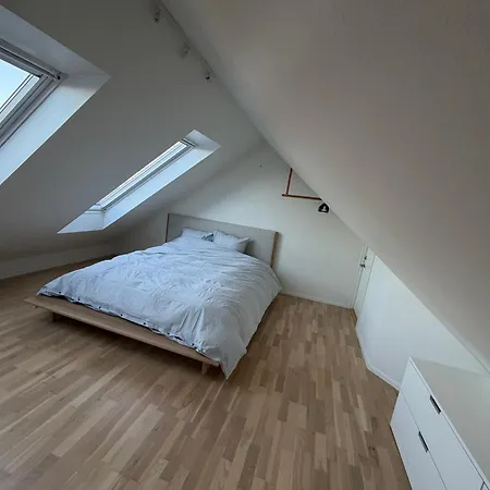 Apartamento In And Pet Friendly Bergen