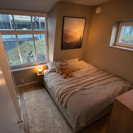 In And Pet Friendly Apartamento Bergen